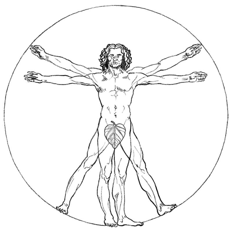 DaVinci human figure illustration